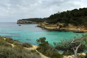 Portals Vells y Cala del Mago