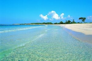 Playa Es Dofí (El Delfín)